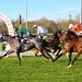 Bel sabato a San Siro-Galoppo col Premio Circo Massimo