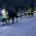 Due asini e un cavallo da Malé alla Val di Rabbi: tutto bene, grazie ai Vigili del fuoco