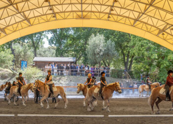 Riabilitazione Equestre San Raffaele Viterbo: i loro primi 40 anni