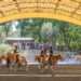 Riabilitazione Equestre San Raffaele Viterbo: i loro primi 40 anni