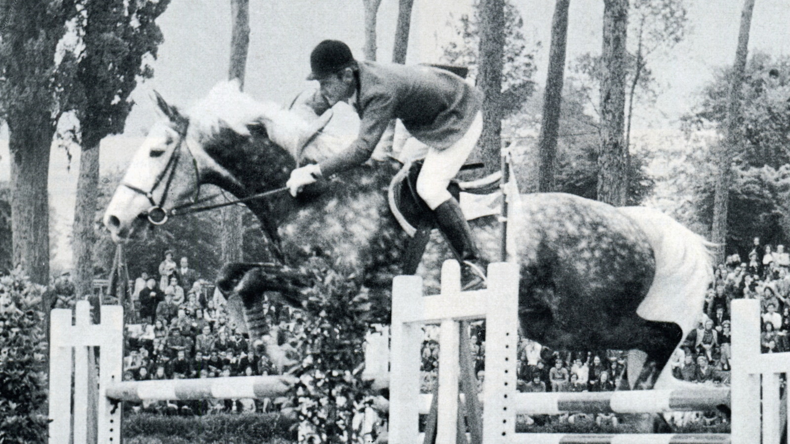 1972 CSIO Roma Ambassador OK