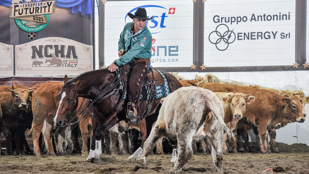 2025 Futurity Open Champion Denis Pini e Reyzen di Katona Imre