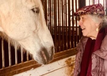 Horses for Good a Forlì: cavalli, arte e musica per il benessere in ospedale
