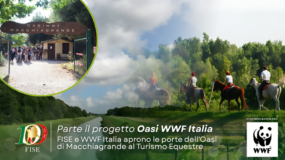 Banner WWF Italia 