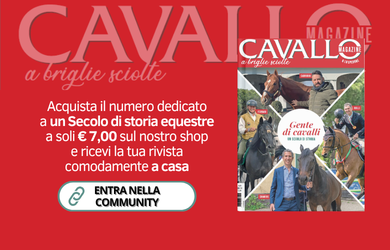 CM435 BANNER SITO CM