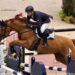Sandra Auffarth e Michael Jung, campioni eclettici