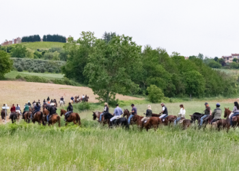 Il Trekking nel Monferrato cresce ancora