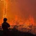 Incendio del Monte Faeta: una emergenza ben gestita dal punto di vista degli animali