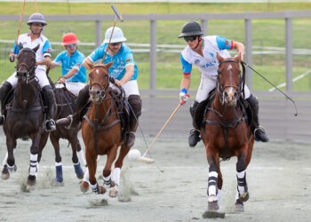 FIP Arena Polo European Championship a Piazza di Siena
