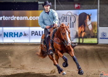 Salone del Cavallo Americano: manca poco