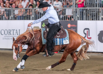Salone del Cavallo Americano 2026: l’asticella si alza ancora
