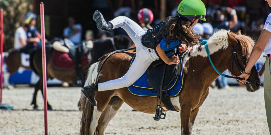 Pony Master Show 2026: il settore club è in crescita