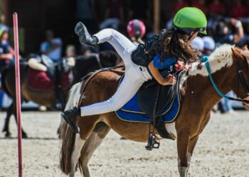 Pony Master Show 2026: il settore club è in crescita