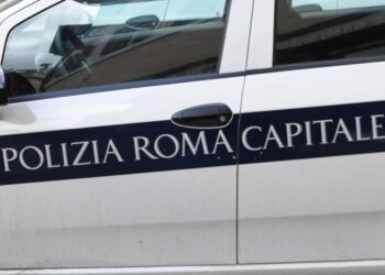 Cavalli in fuga a Roma, il Comandante della Polizia locale: ‘Non ci saranno sconti per nessuno’
