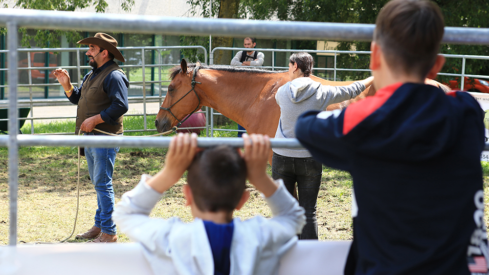 Salone del Cavallo 29