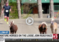 Pony e podisti