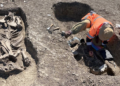 Equi-archeologia, un nuovo ritrovamento