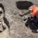 Equi-archeologia, un nuovo ritrovamento