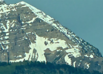 Se le previsioni le fa il cavallo del Monte Timpanogos