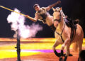 Cremona Horse Show, coraggio, poesia e un pizzico di follia