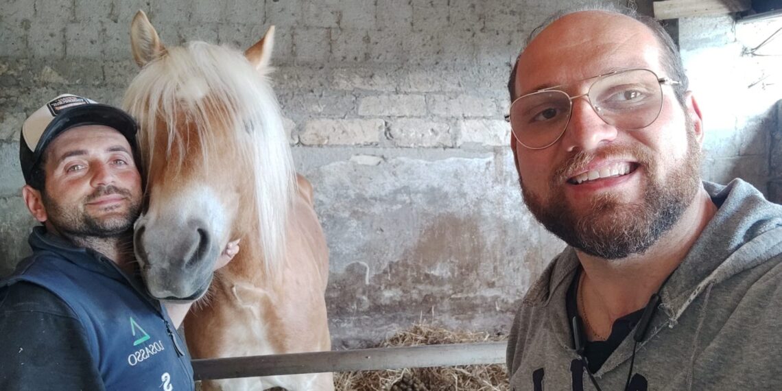 Dalla Basilicata Alva, l’Haflinger con un talento per il Cutting