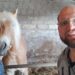 Dalla Basilicata Alva, l’Haflinger con un talento per il Cutting