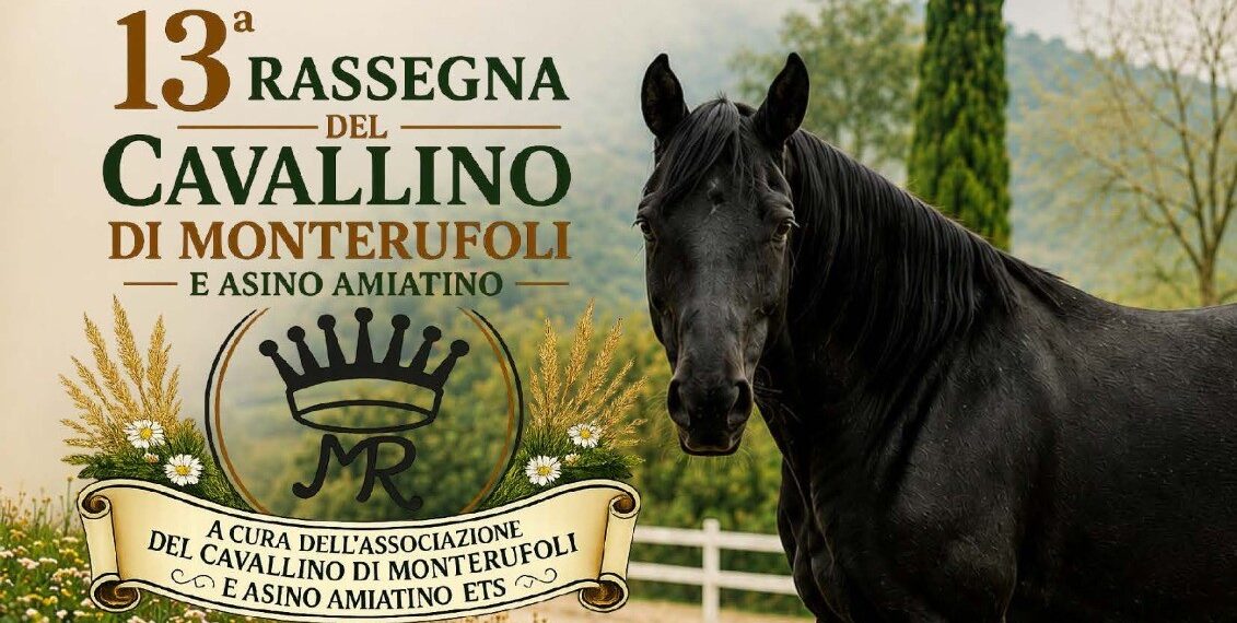 Cavallino di Monterufoli e Asino Amiatino: a Pomarance torna la loro festa