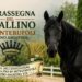 Cavallino di Monterufoli e Asino Amiatino: a Pomarance torna la loro festa