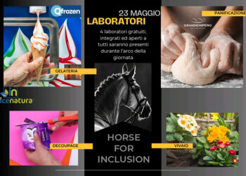 Horse for inclusion