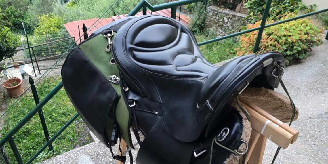 Rubata una sella da trekking nel Pisano: l’appello di Luca Palmerini ai cavalieri
