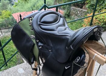 Rubata una sella da trekking nel Pisano: l’appello di Luca Palmerini ai cavalieri