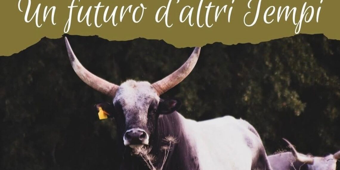 Un futuro d’altri tempi: a Fregene una festa dedicata alla vacca Maremmana e alla tradizione buttera