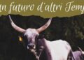Un futuro d’altri tempi: a Fregene una festa dedicata alla vacca Maremmana e alla tradizione buttera