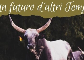 Un futuro d’altri tempi: a Fregene una festa dedicata alla vacca Maremmana e alla tradizione buttera