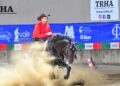 Tutti gli uomini del Re…Alboino: un Bardigiano da Reining