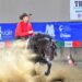 Tutti gli uomini del Re…Alboino: un Bardigiano da Reining