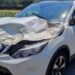 Bergamo, cavallo investito da un’auto tra Treviglio e Arcene: non ce l’ha fatta