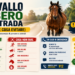 Cavallo libero in strada: cosa fare (e cosa evitare)