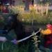Abano: c’è un cavallo nel canale