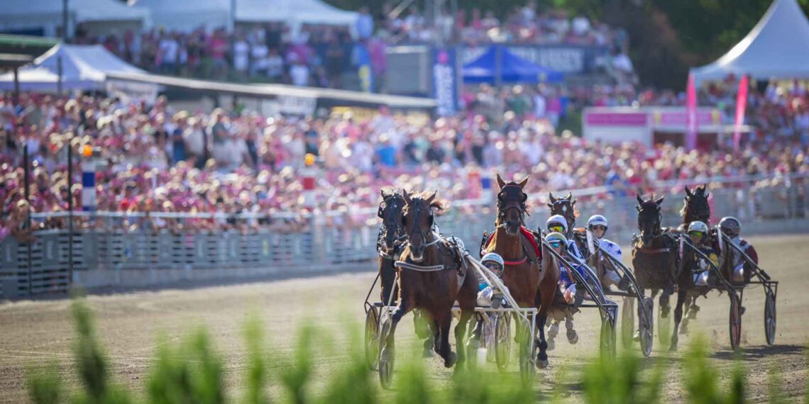 La 75^ edizione dell’ Elitloppet