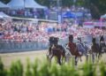La 75^ edizione dell’ Elitloppet