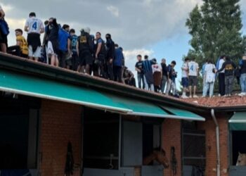 Branco a San Siro: sui tetti dei box del Centro Ippico Lombardo