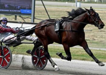 Grande ippica a Modena col Tito Giovanardi