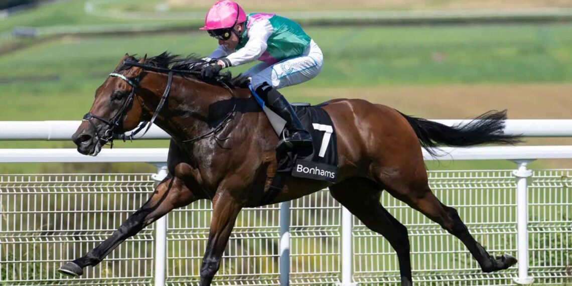 Sabato a Newbury l’attesissima Lockinge Stakes