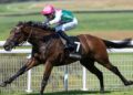 Sabato a Newbury l’attesissima Lockinge Stakes