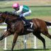 Sabato a Newbury l’attesissima Lockinge Stakes