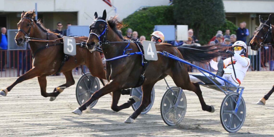 Diamond Francis atteso protagonista all’Arcoveggio
