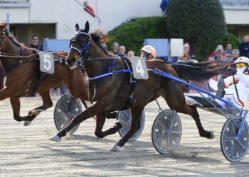 Diamond Francis atteso protagonista all’Arcoveggio