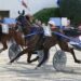 Diamond Francis atteso protagonista all’Arcoveggio