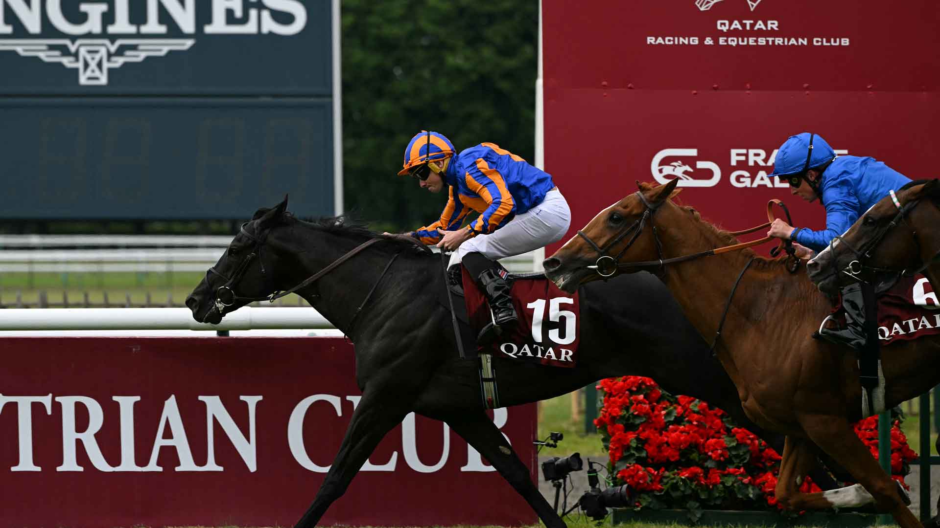 jockey